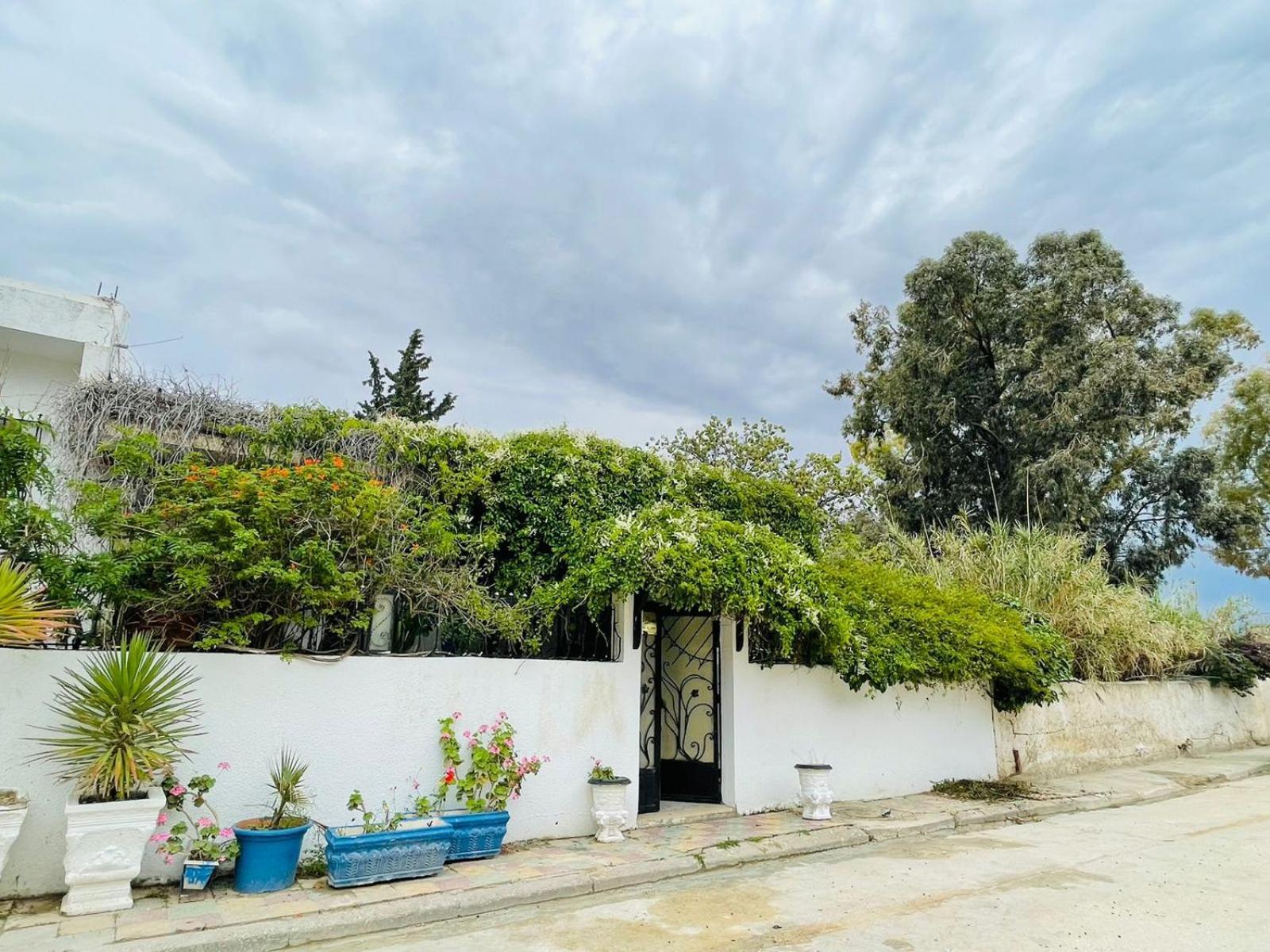 Casa Zitouna - Guest House - Kef, Tunisia Sicca Veneria 外观 照片